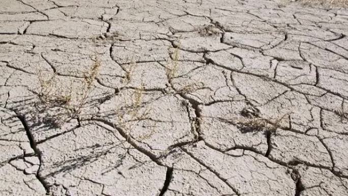 干旱2021年期间在干泥裂缝上平移