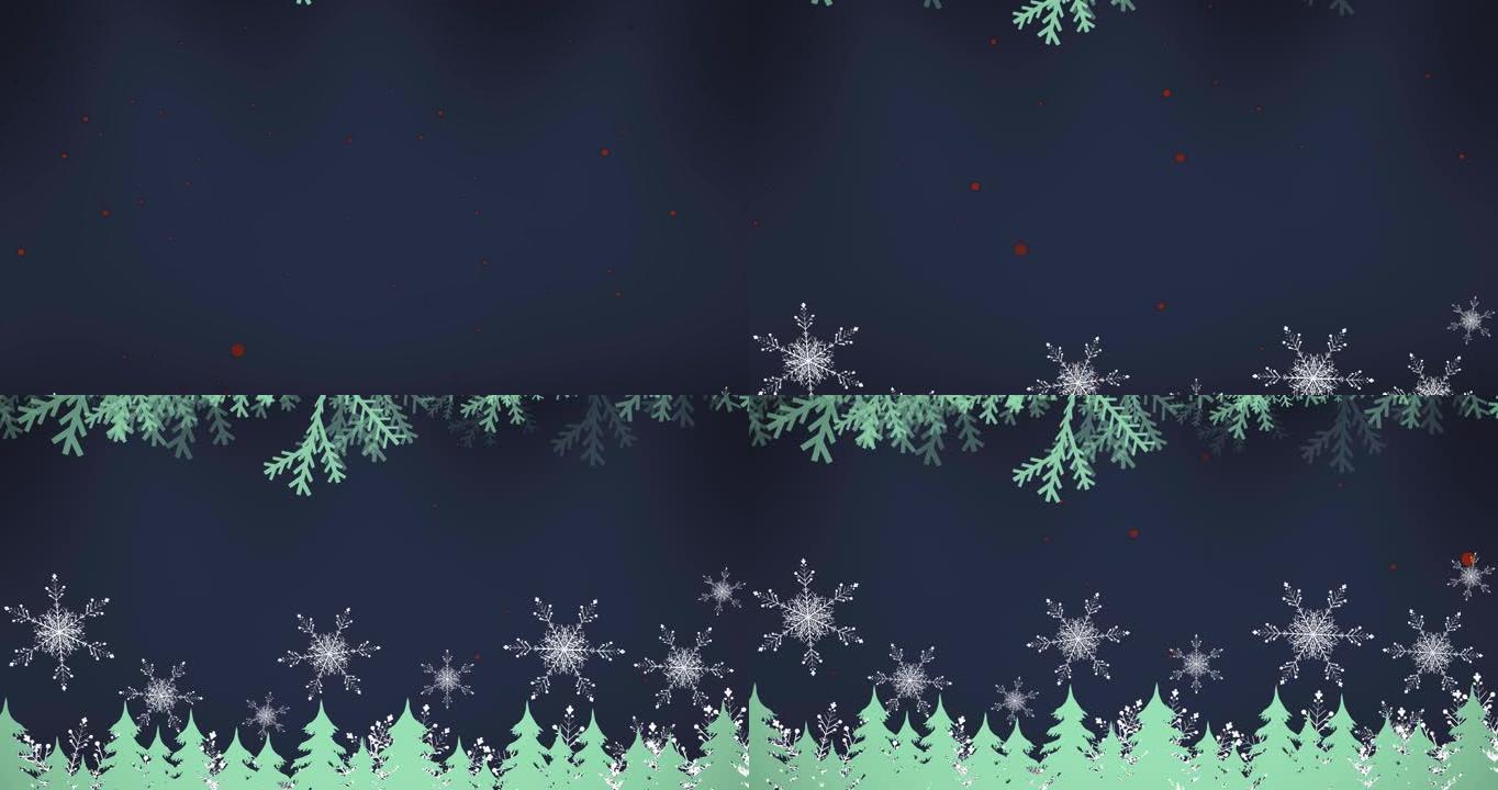 杉木树枝在黑暗背景上的积雪上的动画