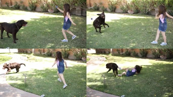 小女孩和她的狗玩耍