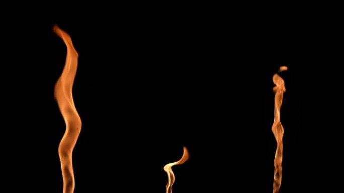 三个高火焰在黑色背景下点燃并用橙黄色火发光。真正的篝火，燃烧器或火炬在黑暗中燃烧。火光，危险的熊熊大