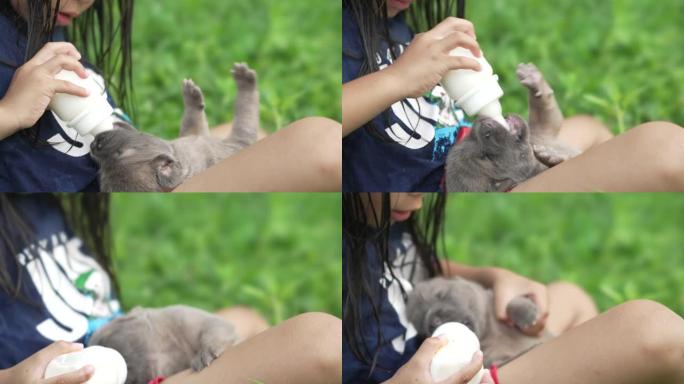 可爱的女孩试图用瓶子喂她的小狗。