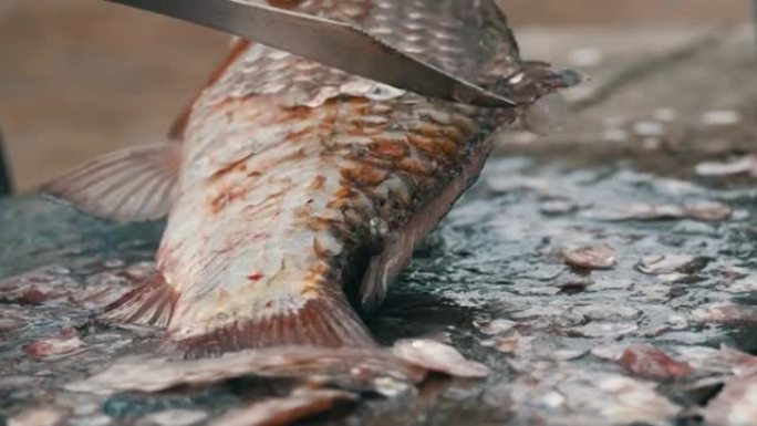 一位男性渔夫清理了他刚刚捕获的一条活泼的大鱼的鳞片。清洗淡水鱼以便进一步烹饪。