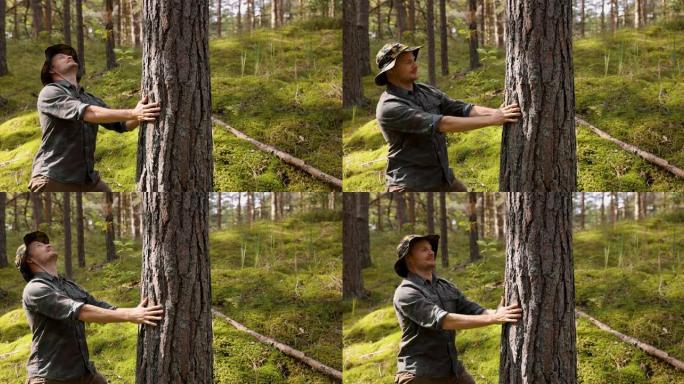 林务员检查松树树干质量。可再生资源与可持续森林管理理念
