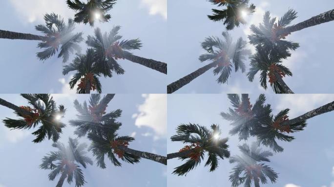 棕榈树和太阳光线从顶部破裂，低角度视图，4K