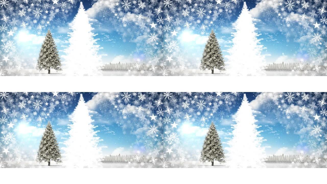 雪落在冬天的圣诞树上，天空中的云彩