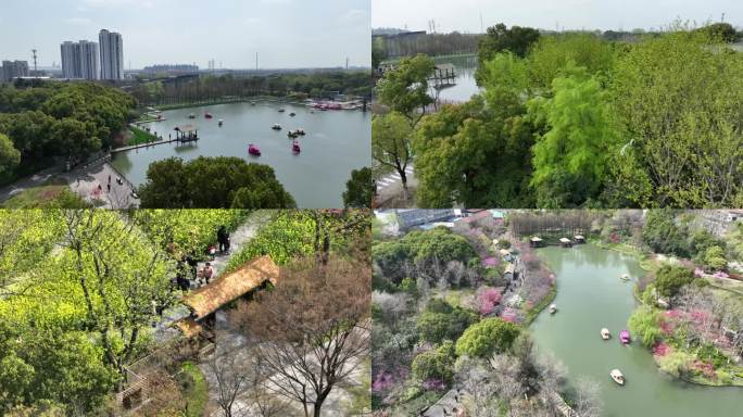 航拍春天桃花湖景花卉公园游览船油菜花