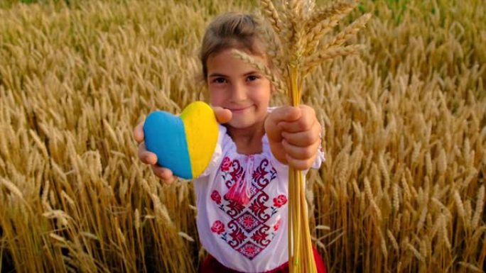 孩子在麦田里为乌克兰独立日的概念。有选择性的重点。
