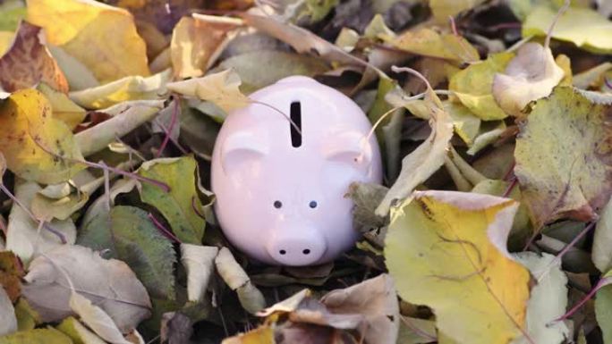 粉红色的存钱罐和秋天的落叶。秋季的银行概念