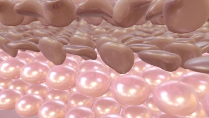 3D皮肤层特写与细胞修复效果