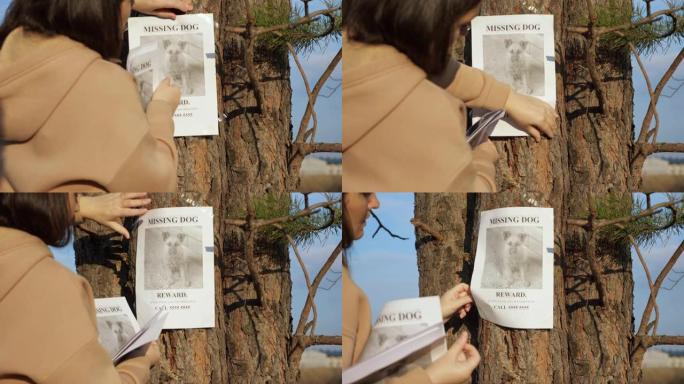 女士在树上悬挂失踪狗的海报和中风照片