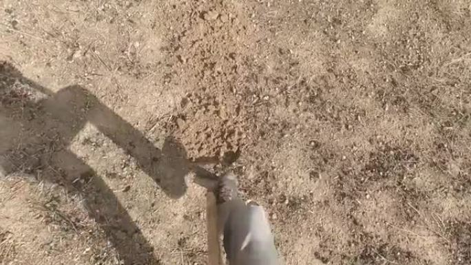 在阳光明媚的日子里，人们用铲子在地上挖一个洞。