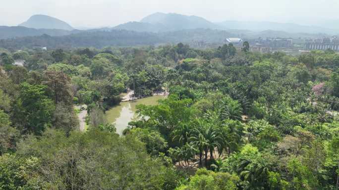 航拍中科院西双版纳植物园