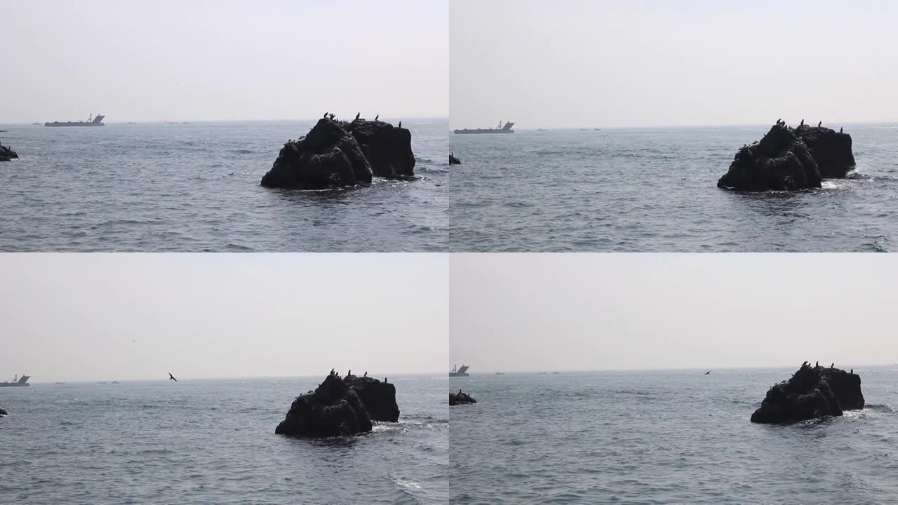 韩国釜山-2017年3月22日: 岩石与海鸥