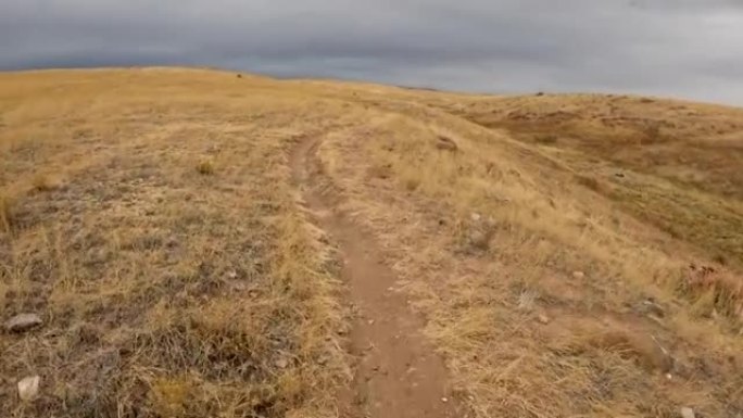 POV来自在科罗拉多草原的单轨小径上骑山地自行车