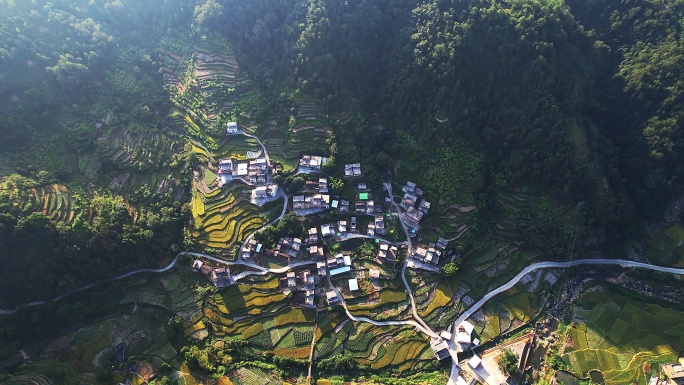 高州柏河村秋季梯田航拍