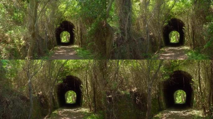 相机在森林之间进入隧道