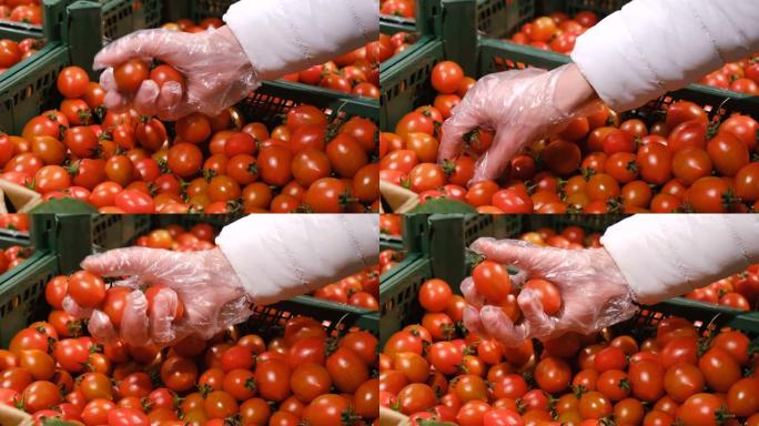 女人在蔬菜市场买樱桃番茄