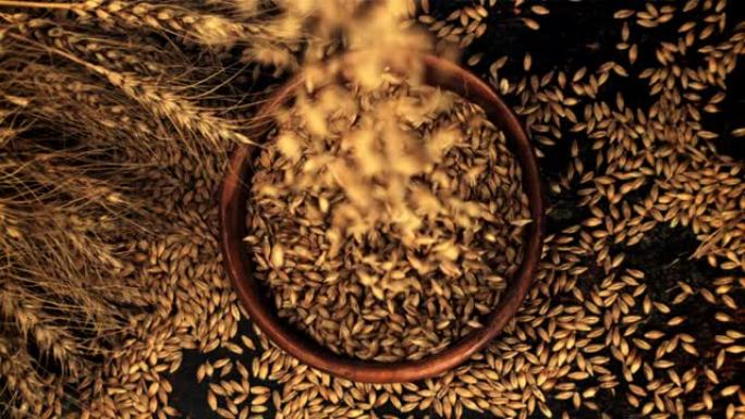 超级慢动作成熟的大麦谷物落在黑色背景上的盘子上。以1000 fps的高速相机拍摄。
