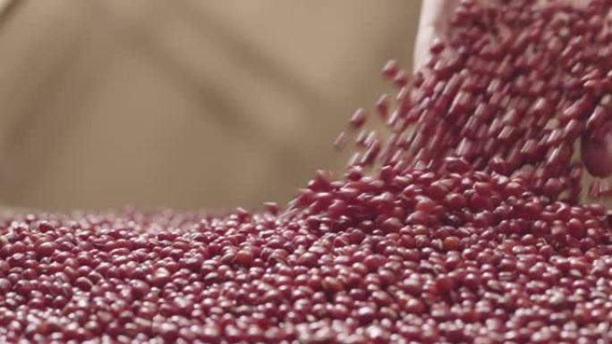 将小豆倒入盘子中，慢动作