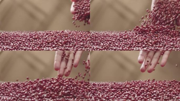 将小豆倒入盘子中，慢动作