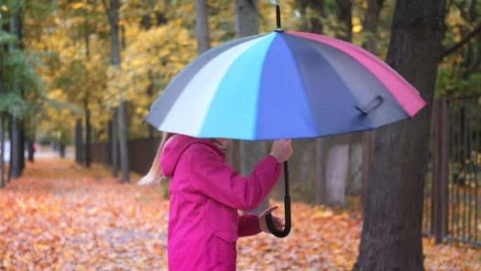 小女孩笑着玩耍，用彩虹伞旋转秋天落在公园里的金色橙色枫叶上