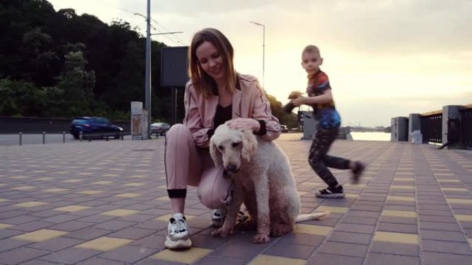 一名成年妇女穿着运动服，带着一只大狗，一只皇家贵宾犬，坐在城市的路上。关系，对狗的爱。