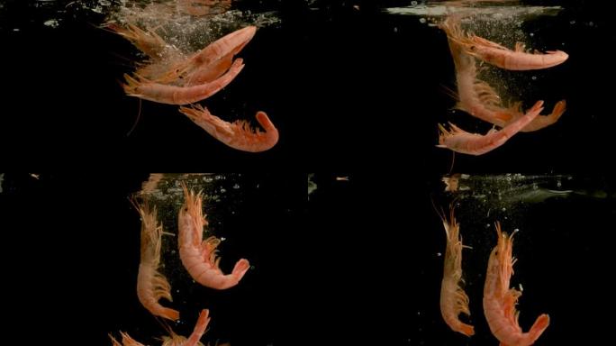 红色虾在黑色背景上掉入水中。明亮的高质量视频