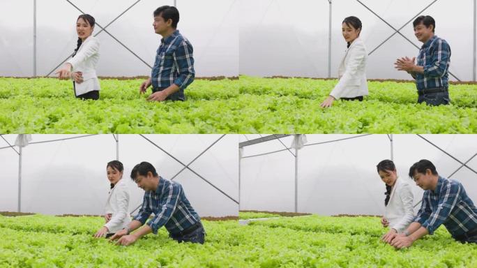亚洲农民与客户销售水培蔬菜温室农场与幸福和快乐的植物行背景