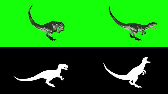 恐龙行走循环动画，可循环，三摄像机角度视图，绿屏孤立背景股票视频