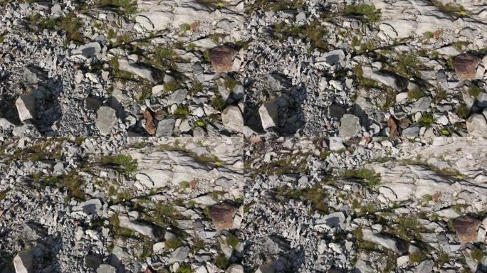 在Aletsch冰川斜坡上看到巨石场的鸟瞰图