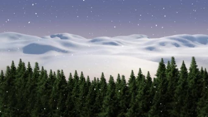 雪花落在枞树上的动画和蓝天上发光的星星