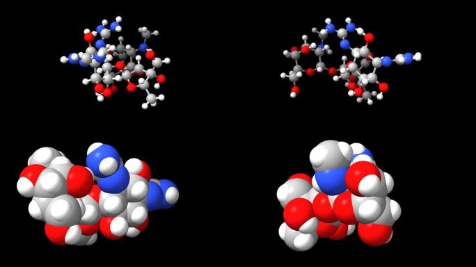 氨基糖苷类抗生素链霉素的动画3D球棒和空间模型