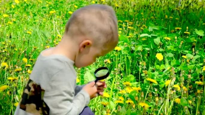 孩子透过放大镜看花。选择性聚焦。