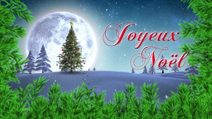 乔伊克斯·诺埃尔 (Joyeux noel) 的文字和树枝抵御积雪落在冬季景观上的圣诞树上