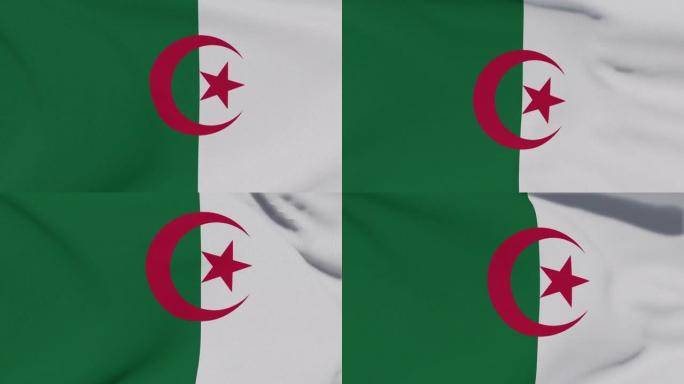 旗帜阿尔及利亚爱国民族自由，无缝循环