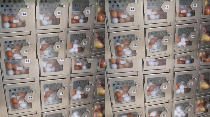 出售白色和棕色鸡蛋的自动机器。出售含有新鲜鸡蛋的特殊细胞