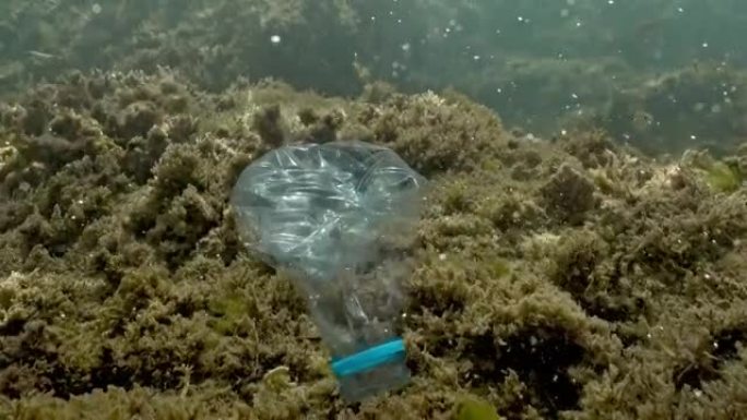 一个塑料瓶漂浮在海水中。乱扔垃圾是生态灾难，塑料无处不在。