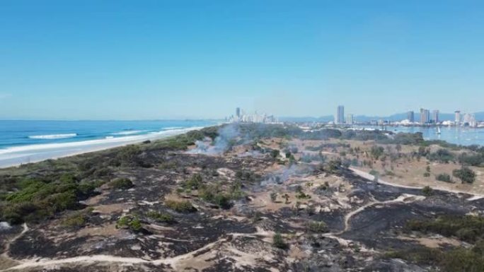 大火摧毁了濒临灭绝的沿海雨林和靠近城市天际线的沿海植被