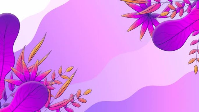夏季热带树叶模板动画背景。创意荧光彩色花卉边框设计。抽象的波浪。异国丛林树叶，紫色粉色。4k循环动画