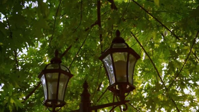 城市街道上的老式灯笼特写镜头，背景是一棵树的绿叶。