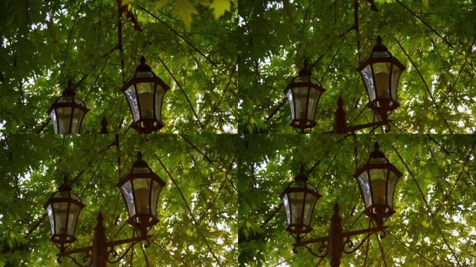 城市街道上的老式灯笼特写镜头，背景是一棵树的绿叶。