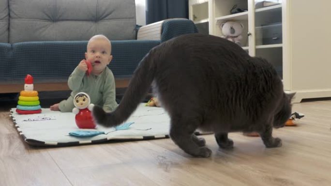 婴儿和猫在地板上玩耍，可爱的7个月大的男婴和灰色家猫一起在家里玩玩具很开心。
