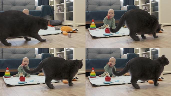 婴儿和猫在地板上玩耍，可爱的7个月大的男婴和灰色家猫一起在家里玩玩具很开心。