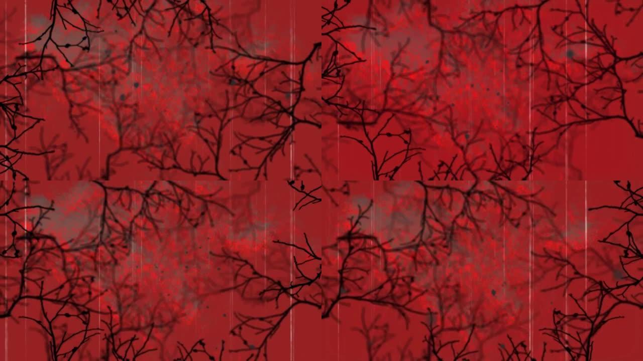 红色背景上的万圣节干扰树枝的动画