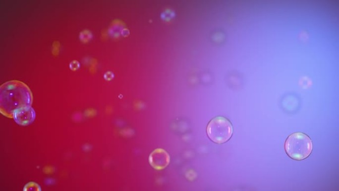 美丽的彩色彩虹肥皂泡在蓝色和红色背景下在空气中飞行的模糊镜头。许多气泡在太空中飞扬，并在灯光下闪烁。