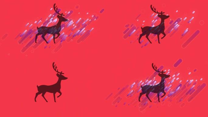 红色背景上的驯鹿在灯光下的动画