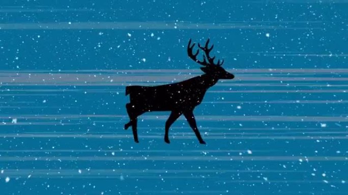 蓝色背景上的驯鹿和雪的动画