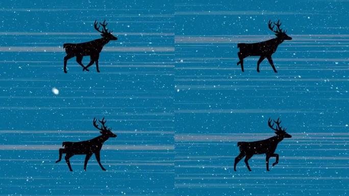 蓝色背景上的驯鹿和雪的动画