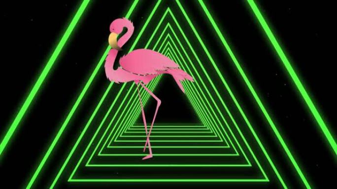 黑色背景上霓虹三角形上的粉红色火烈鸟动画