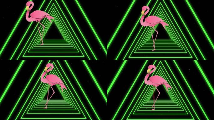 黑色背景上霓虹三角形上的粉红色火烈鸟动画